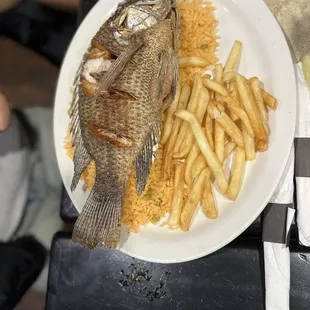 fish and chips, food