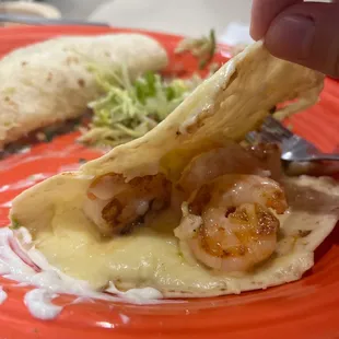 a hand holding a tortilla