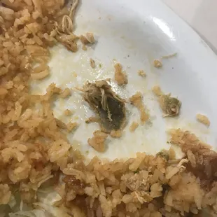 a bone found in the enchiladas!