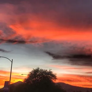Beautiful patio view tonight