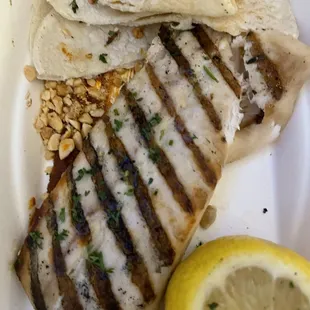 Mahi Mahi
