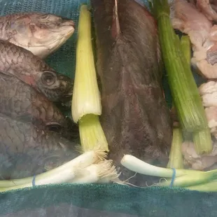 chowder, soup, food, soups and chowder