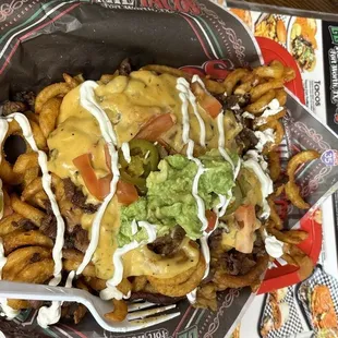 These are the fries with asada huge portion