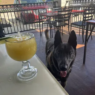 Patio with my best friend, Salem