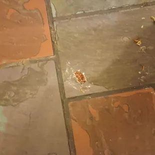 Remnants of roach after my son stepped on it.