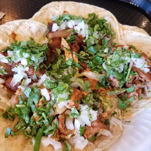 Shredded Beef Street Tacos