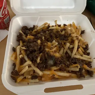 Carne Asada Fries not like the online description at all