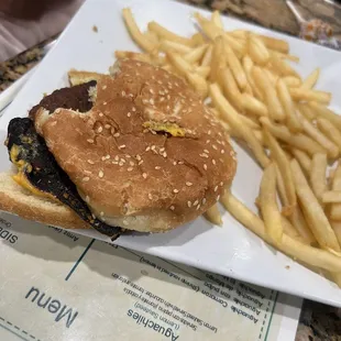 Hamburger &amp; Fries