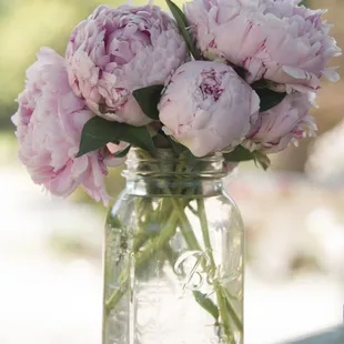 Beautiful gardens everywhere you look!