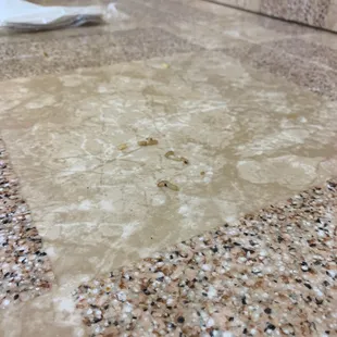 a dirty floor