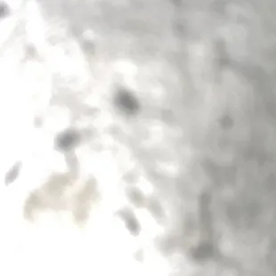 Hi hi guys hi hi guys hi how are your day going well with your family and your family have