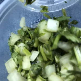 Rotten and stinky cebolla con cilantro