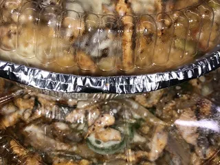 Mi Pueblito Mexican Restaurant