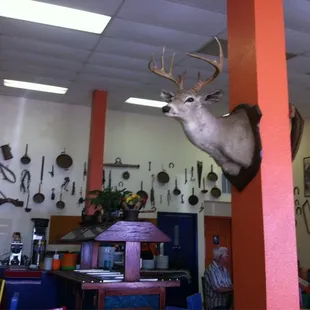 Great decorations and ambience