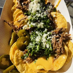 Birria Nachos