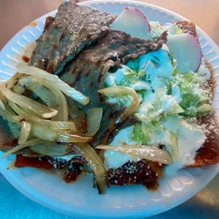 Chicken Enchiladas/Cesina/grill onions