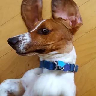 Bosley G.