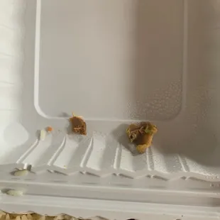 Bones In the enchilada