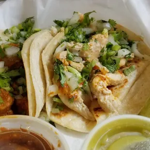 Al Pastor Taco, Pollo/Chicken Taco on corn