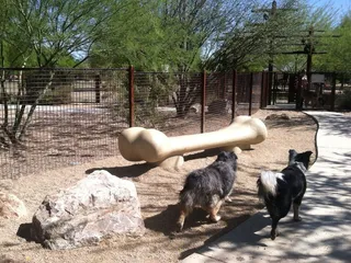 Purple Heart Park: Ivan's Spot