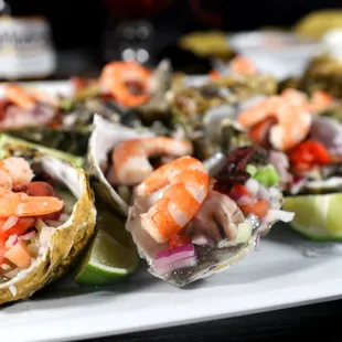 a plate of oysters