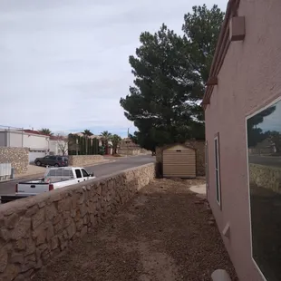 Oleander Bushes Full Removal