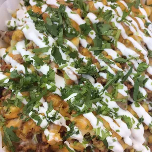 Asada fries with rice, beans, and cilantro added!