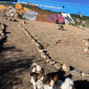 Walking outside of the museum