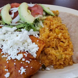 Chicken Enchilada Plate Served with Salad/Rice/Beans