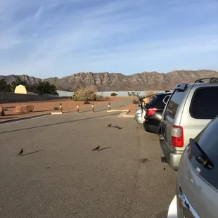 The start of the trail