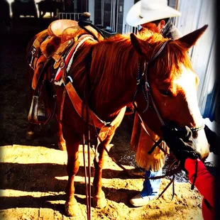 Or guide .. Amazing cool guy, getting Tulsa ready to ride