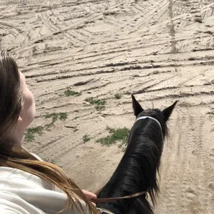 Morning HorseBack Ride