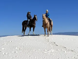 Armstrong Equine Services