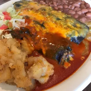Vegetarian enchiladas