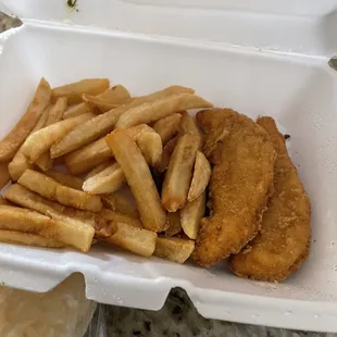 Kids chicken tenders. May be kind of small for some kids but my daughter loves both fries and tenders.