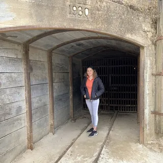 Erika V.
