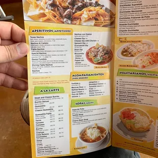 a hand holding a menu