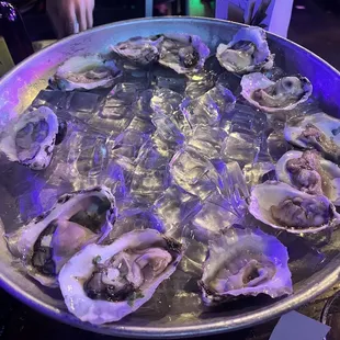 oysters and mussels, mussels, oysters, food, shellfish