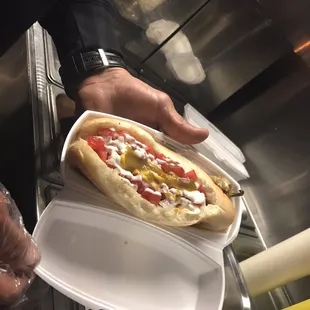 a person holding a hot dog