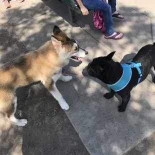 Cooper and his new girlfriend