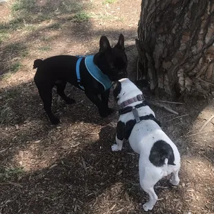 Cooper's new girlfriend