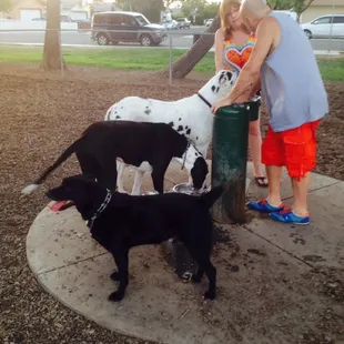 The drinking fountain.