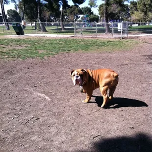 Aw no one to play with today !