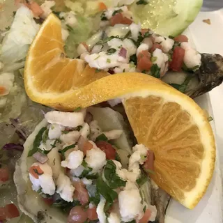 Media Ostiones Presidencial