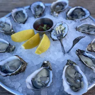 Dozen oysters