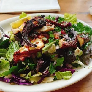 Octopus Salad Plate