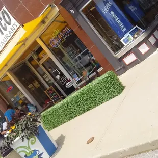 outside, interesting fake hedge for sidewalk ambiance