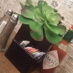 ok for a fake succulent