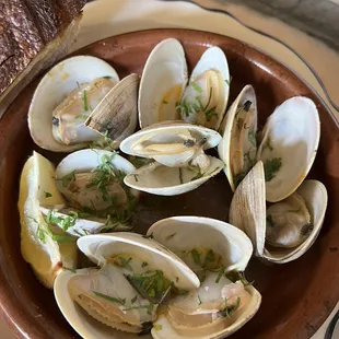 Steamed Clams