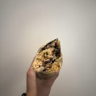 Shredded chicken burrito